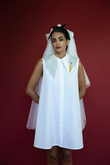 Love's veil