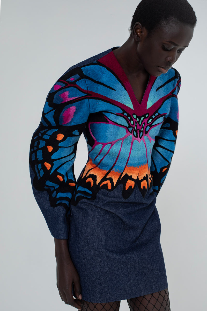 Electric wings