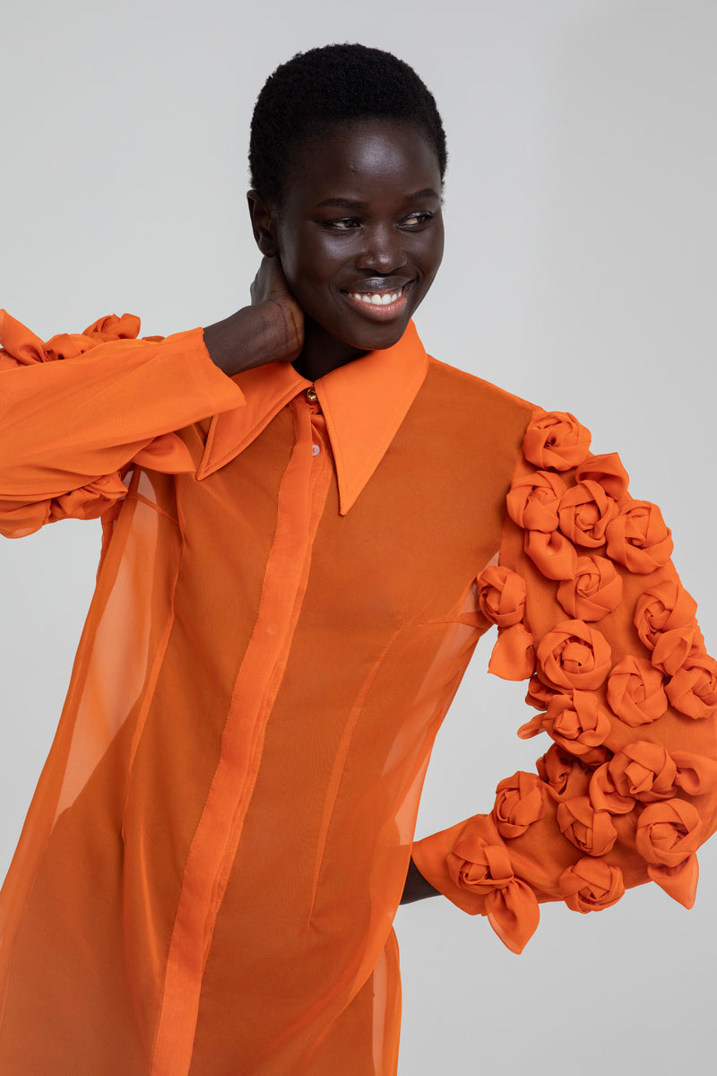 Blooming wings