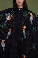 The hoopoe bird