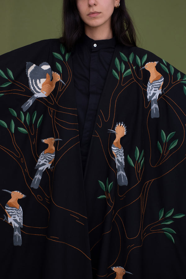 The hoopoe bird