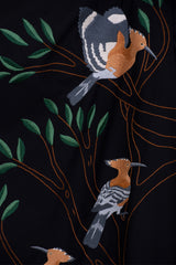 The hoopoe bird
