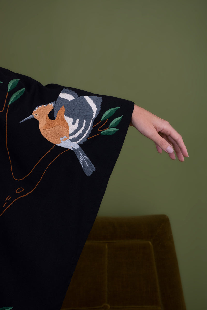 The hoopoe bird