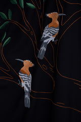 The hoopoe bird