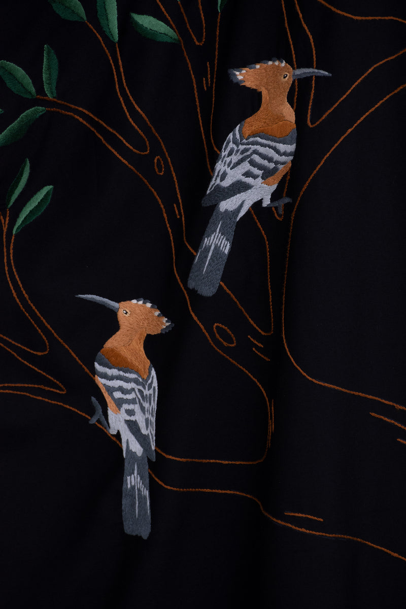 The hoopoe bird
